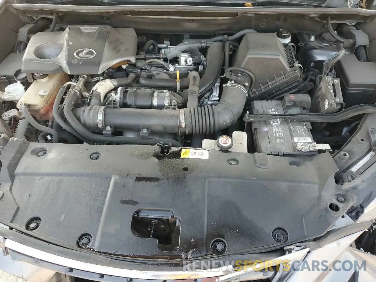 12 Photograph of a damaged car JTJYARBZ1K2128090 LEXUS NX 2019