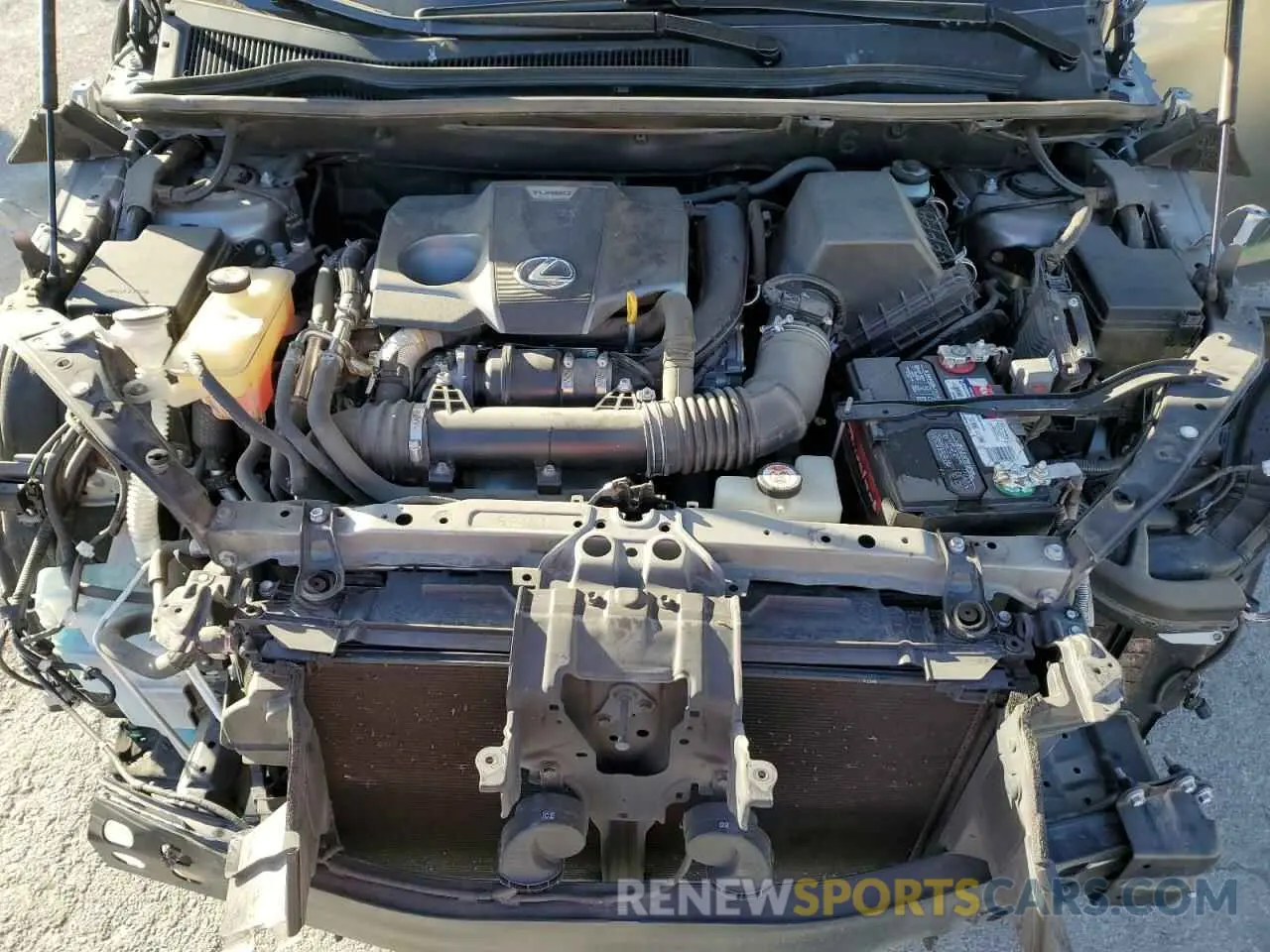 12 Photograph of a damaged car JTJYARBZ5K2137469 LEXUS NX 2019
