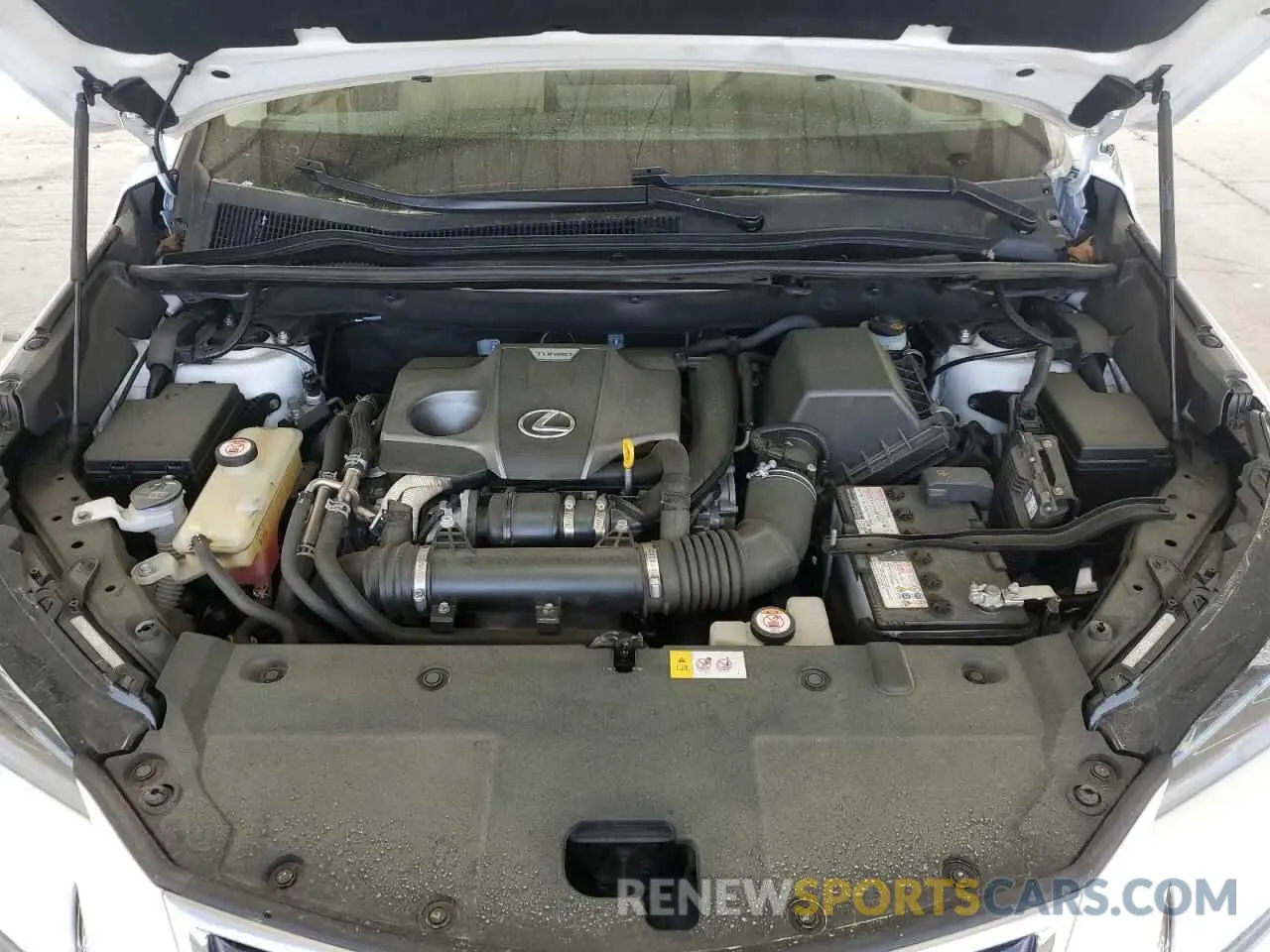 12 Photograph of a damaged car JTJYARBZ6K2120986 LEXUS NX 2019