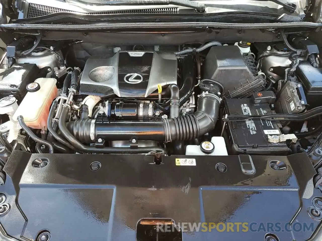 12 Photograph of a damaged car JTJAARBZ2L2173042 LEXUS NX 2020