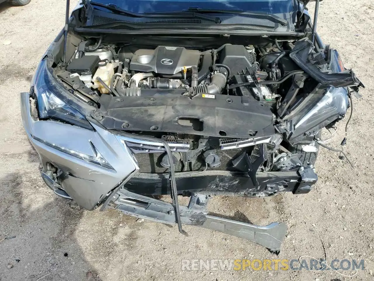 12 Photograph of a damaged car JTJAARBZ6L2177465 LEXUS NX 2020