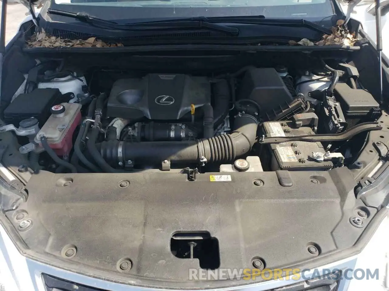 12 Photograph of a damaged car JTJDARBZ0L5018825 LEXUS NX 2020