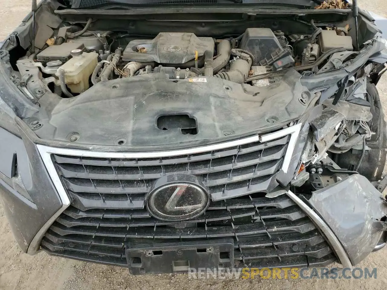 12 Photograph of a damaged car JTJDARBZ4L2171340 LEXUS NX 2020