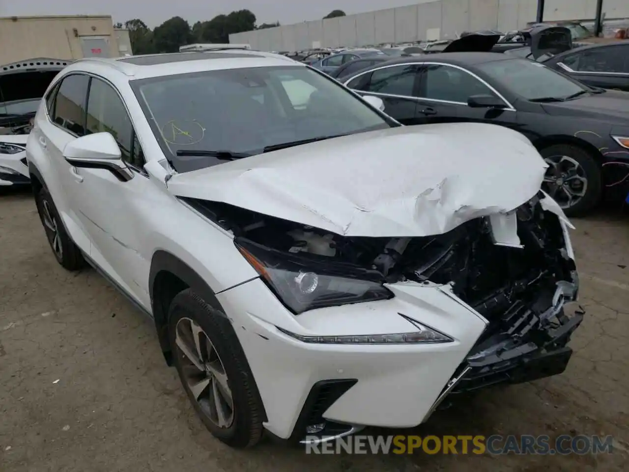 1 Photograph of a damaged car JTJDARBZ4L5007181 LEXUS NX 2020