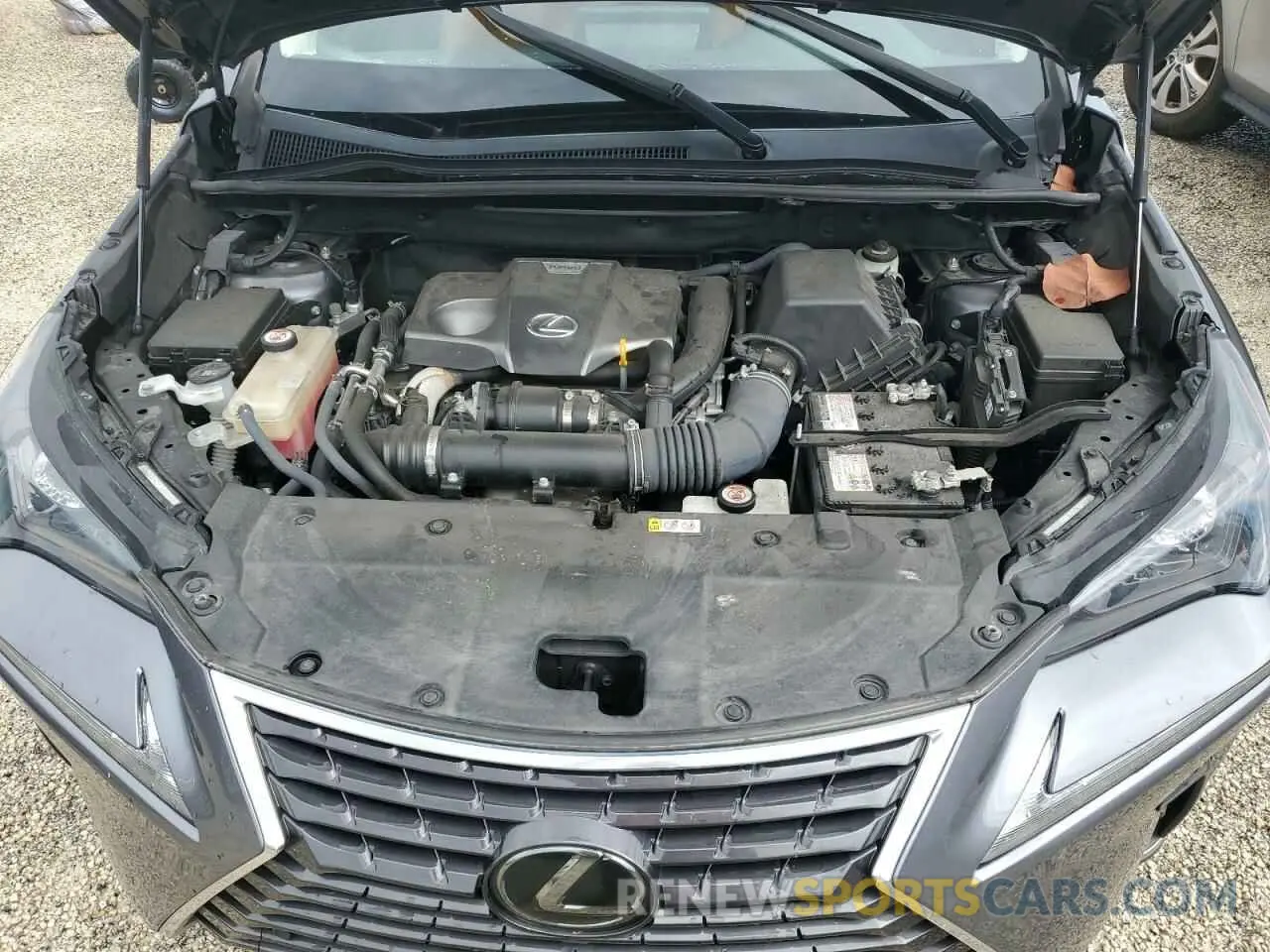 11 Photograph of a damaged car JTJDARBZ6L2171517 LEXUS NX 2020