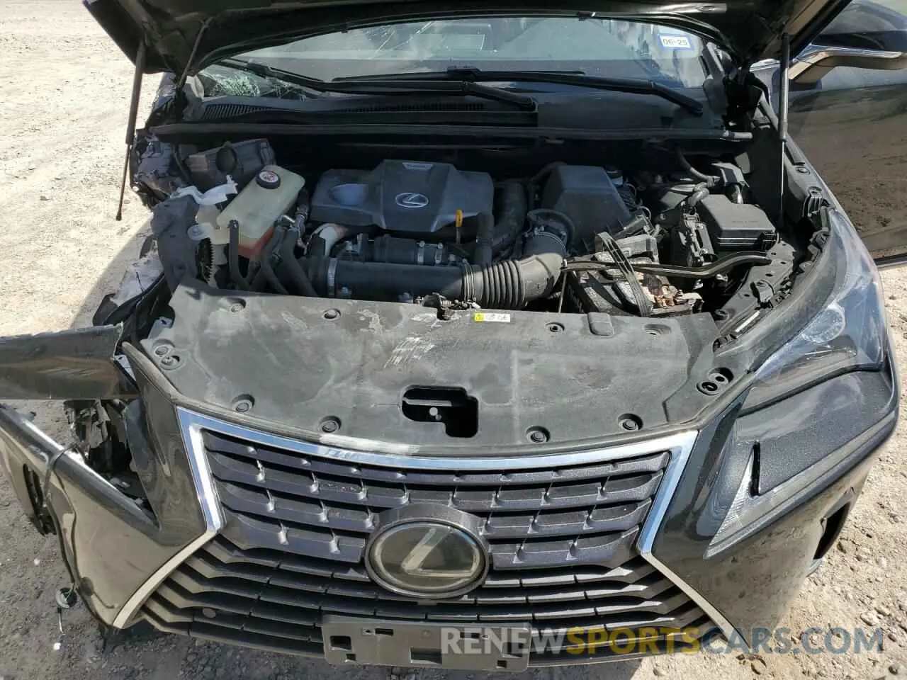 12 Photograph of a damaged car JTJDARBZ6L2172523 LEXUS NX 2020