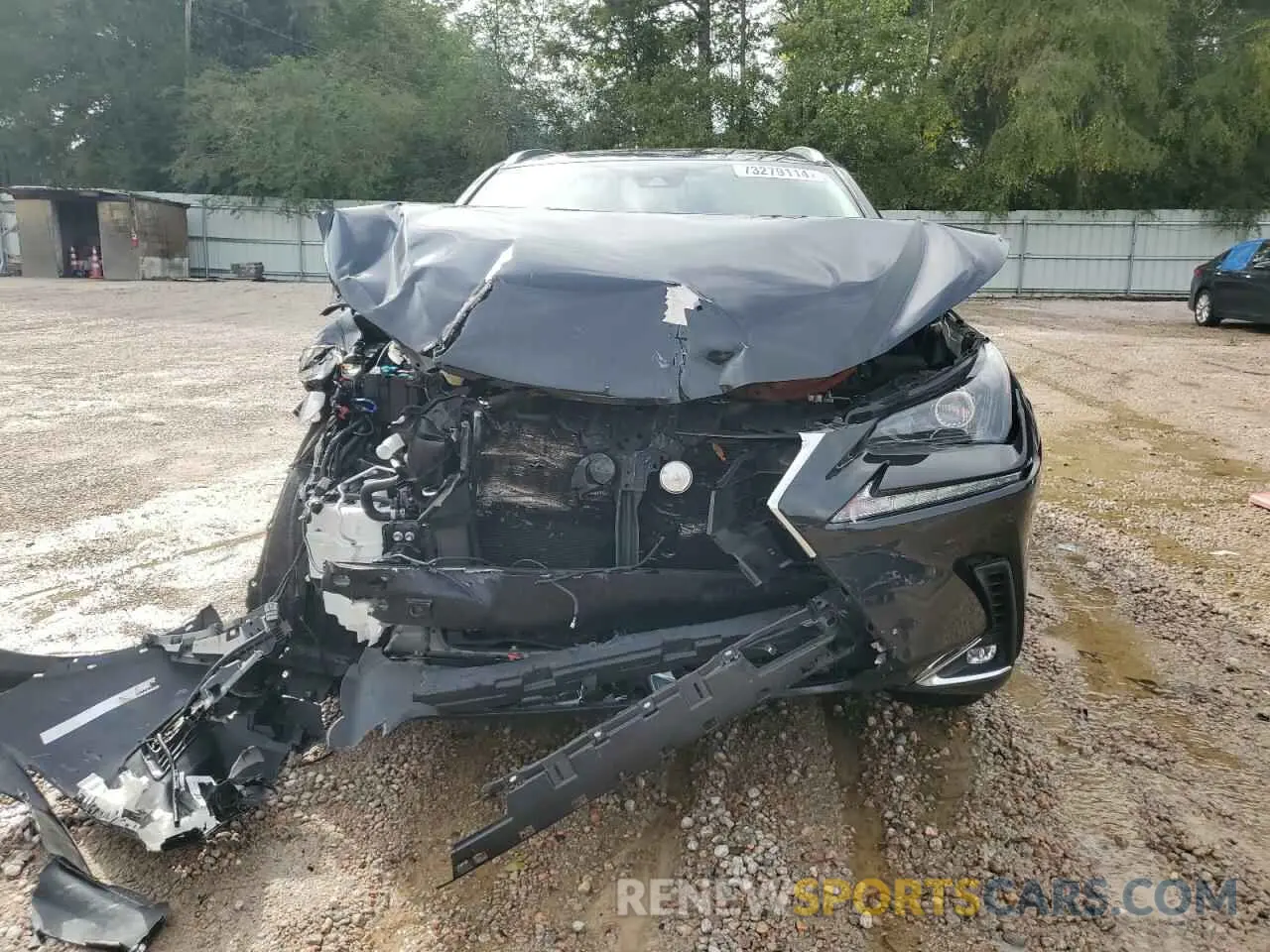 5 Photograph of a damaged car JTJDARBZ8L5002548 LEXUS NX 2020