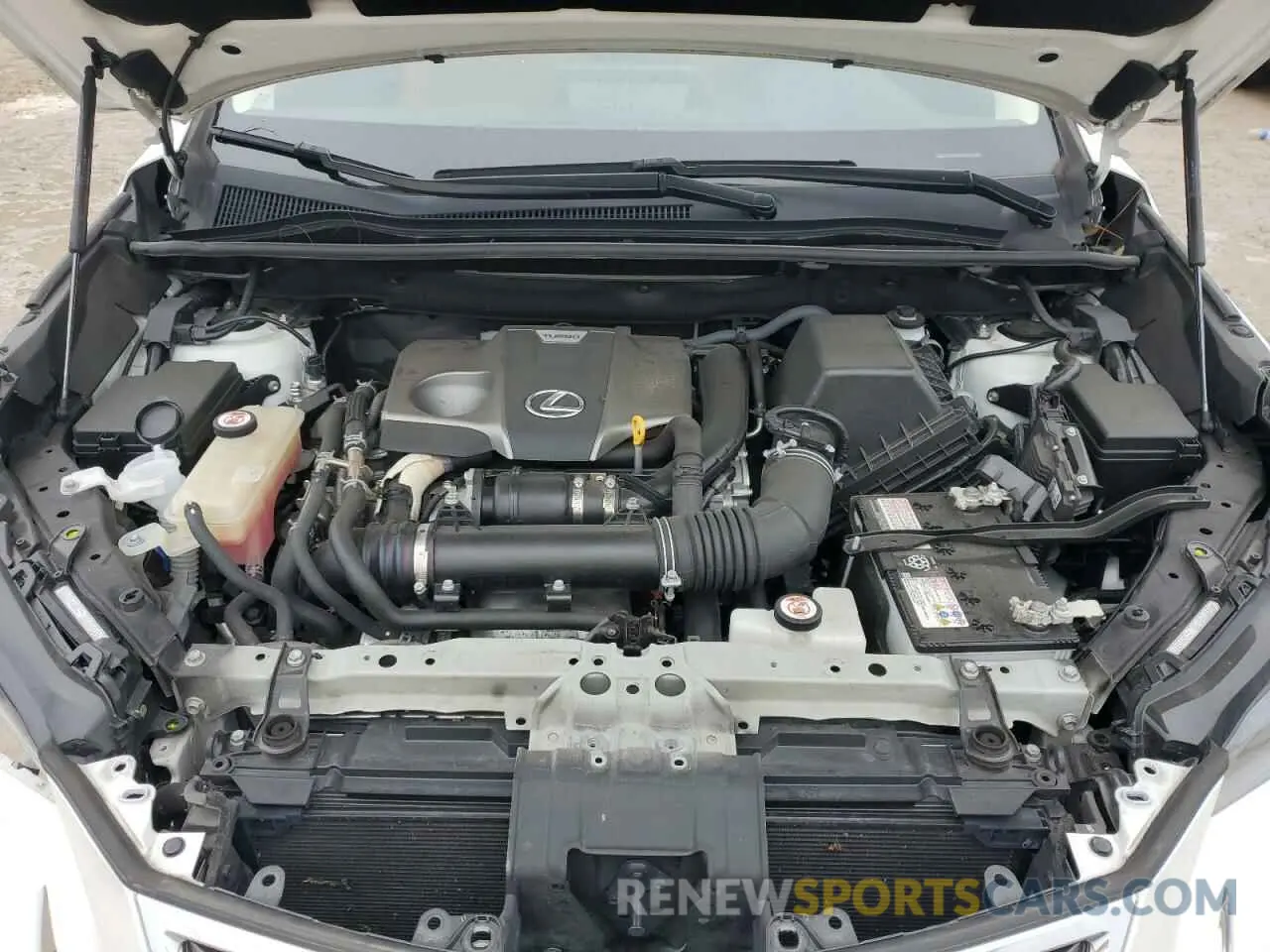 12 Photograph of a damaged car JTJDARDZ0L5003268 LEXUS NX 2020