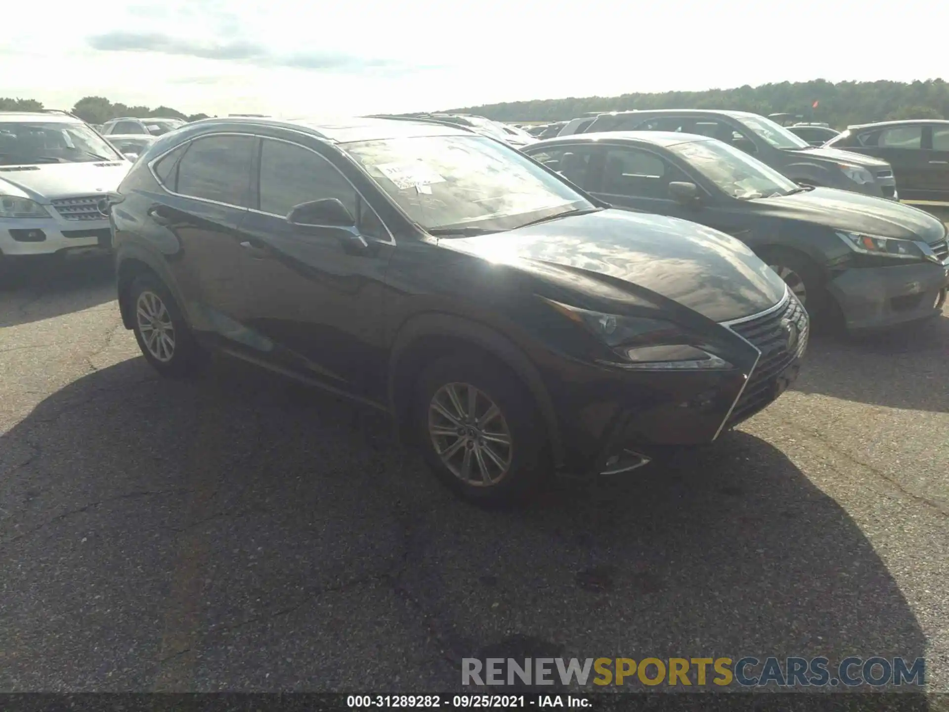 1 Photograph of a damaged car JTJDARDZ0L5007644 LEXUS NX 2020