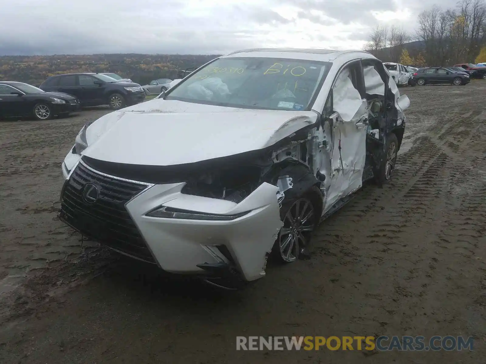 9 Photograph of a damaged car JTJDARDZ0L5011936 LEXUS NX 2020