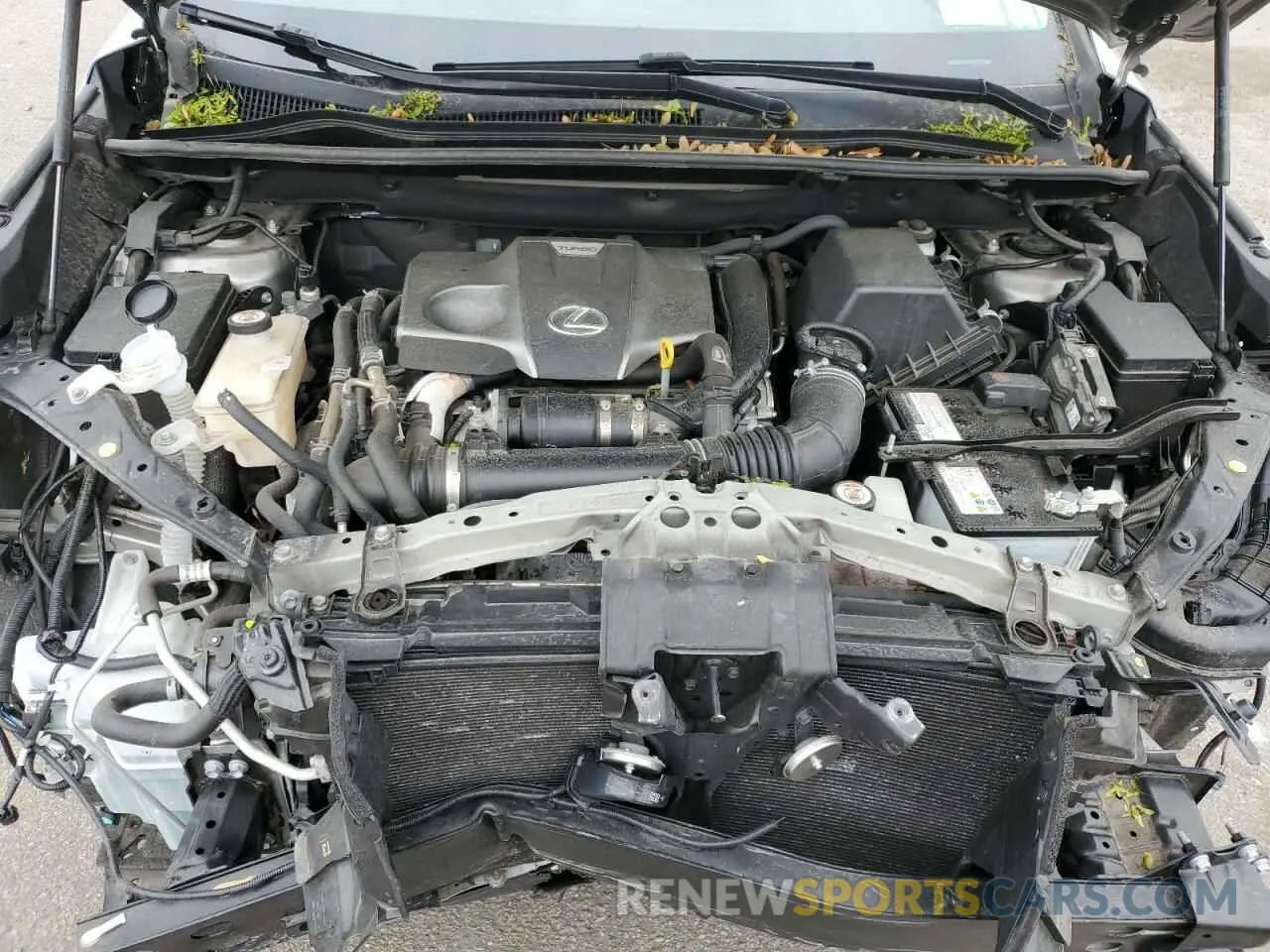 12 Photograph of a damaged car JTJDARDZ7L5008404 LEXUS NX 2020