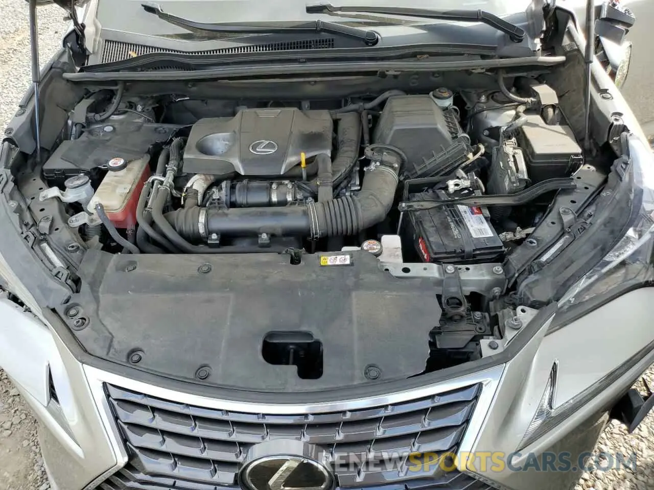 12 Photograph of a damaged car JTJDARDZ9L2231304 LEXUS NX 2020