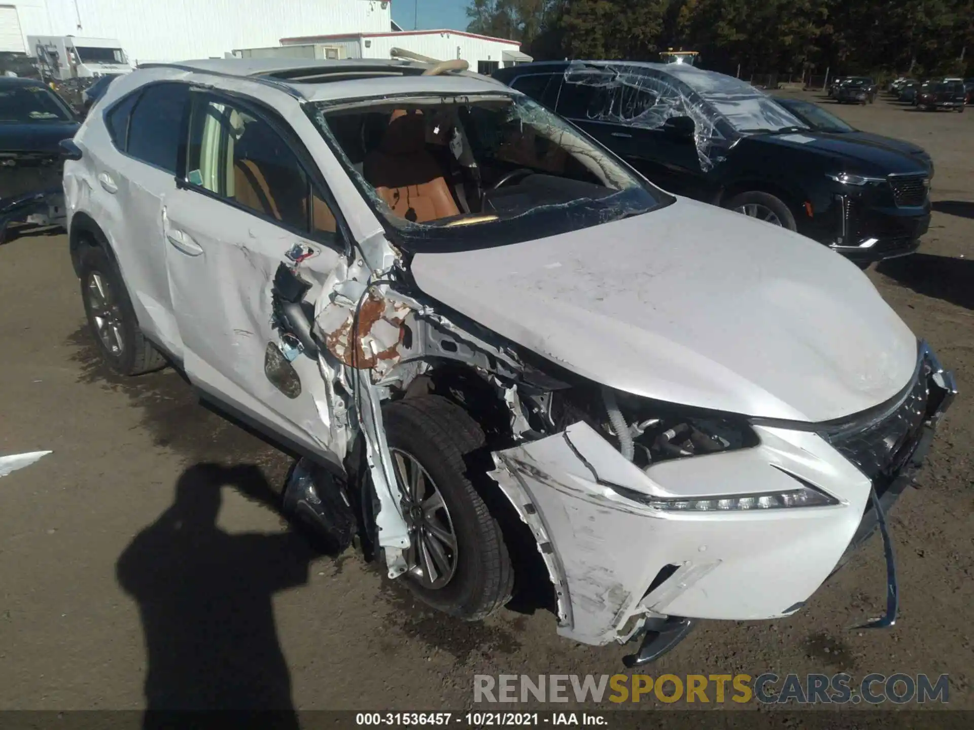 1 Photograph of a damaged car JTJDARDZ9L5002412 LEXUS NX 2020