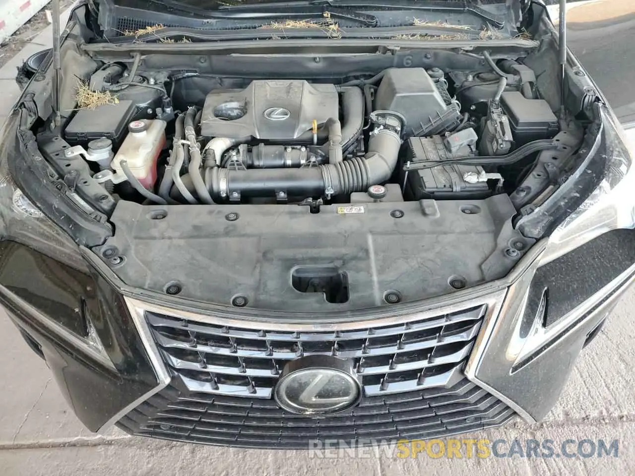 12 Photograph of a damaged car JTJGARBZ0L5008616 LEXUS NX 2020