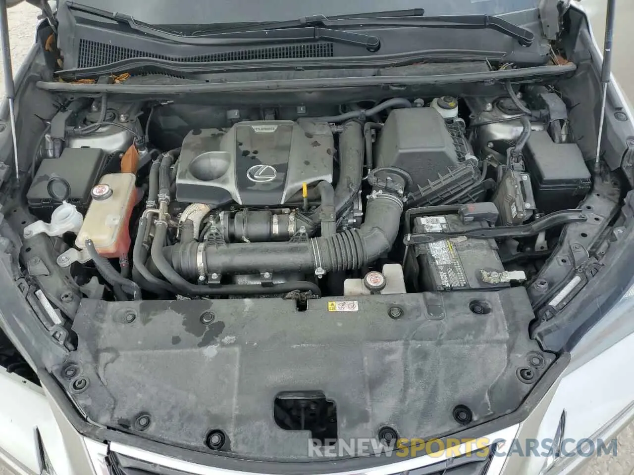 12 Photograph of a damaged car JTJGARBZ3L5009811 LEXUS NX 2020