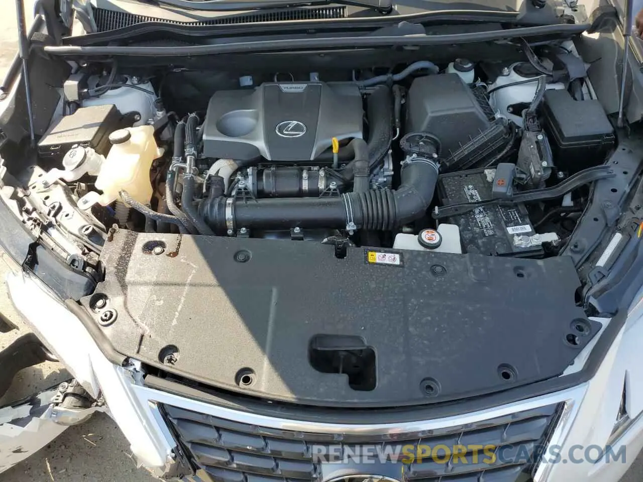 12 Photograph of a damaged car JTJGARBZ8L5011473 LEXUS NX 2020