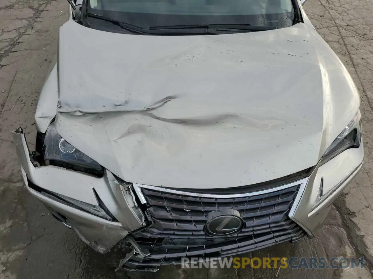 12 Photograph of a damaged car JTJGARDZ0L2220768 LEXUS NX 2020