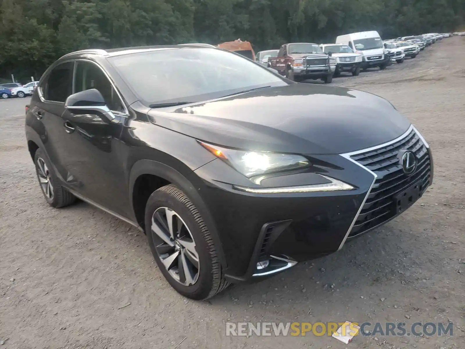 1 Photograph of a damaged car JTJGARDZ0L5016809 LEXUS NX 2020