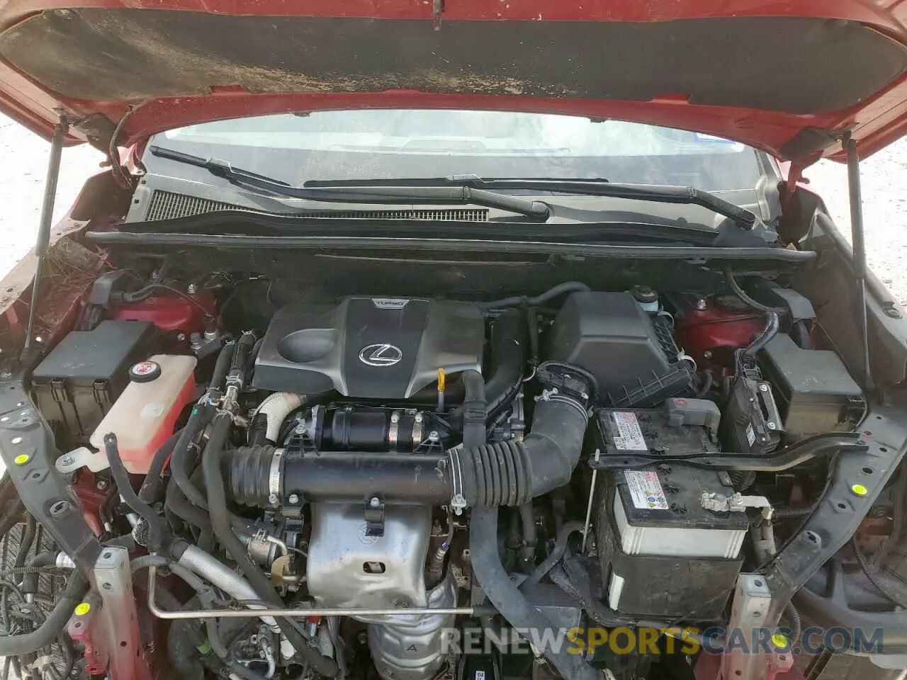 12 Photograph of a damaged car JTJGARDZ2L5009067 LEXUS NX 2020