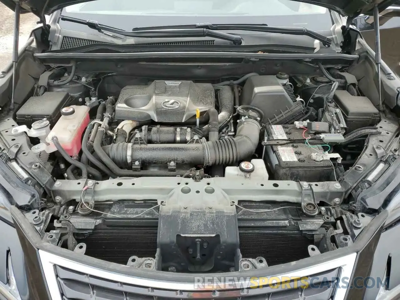 12 Photograph of a damaged car JTJGARDZ3L2220196 LEXUS NX 2020