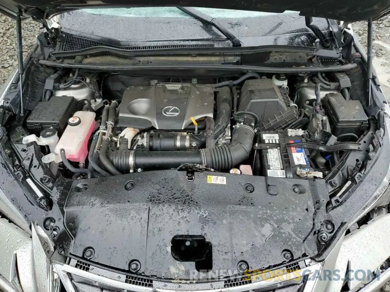 12 Photograph of a damaged car JTJGARDZ3L5015895 LEXUS NX 2020