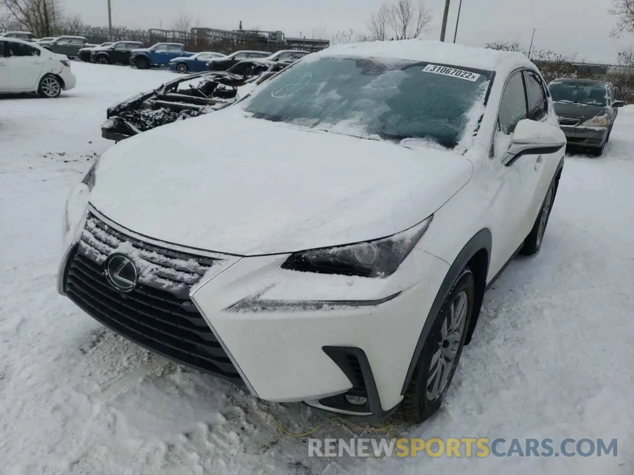 2 Photograph of a damaged car JTJGARDZ5L5016031 LEXUS NX 2020