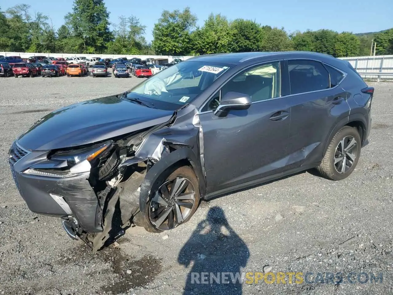 1 Photograph of a damaged car JTJGARDZ6L2236067 LEXUS NX 2020