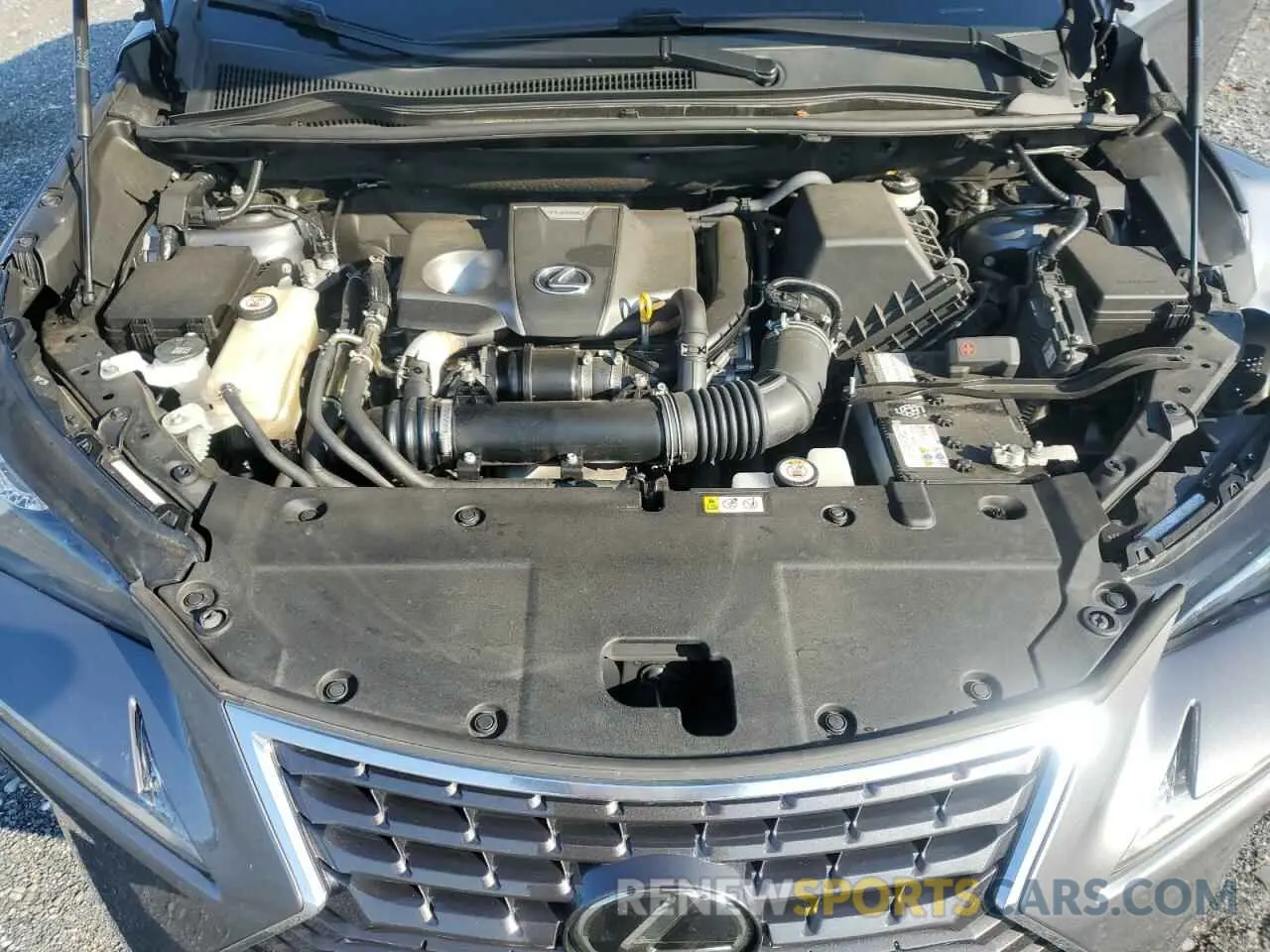 12 Photograph of a damaged car JTJGARDZ6L2236067 LEXUS NX 2020