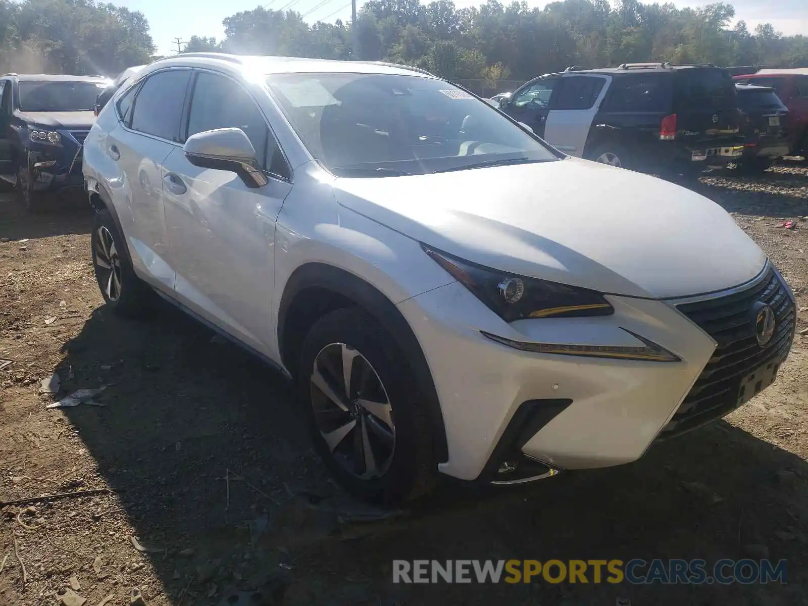 1 Photograph of a damaged car JTJGARDZ6L5016412 LEXUS NX 2020