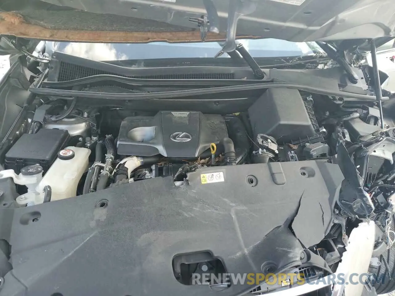 12 Photograph of a damaged car JTJGARDZ7L2221089 LEXUS NX 2020