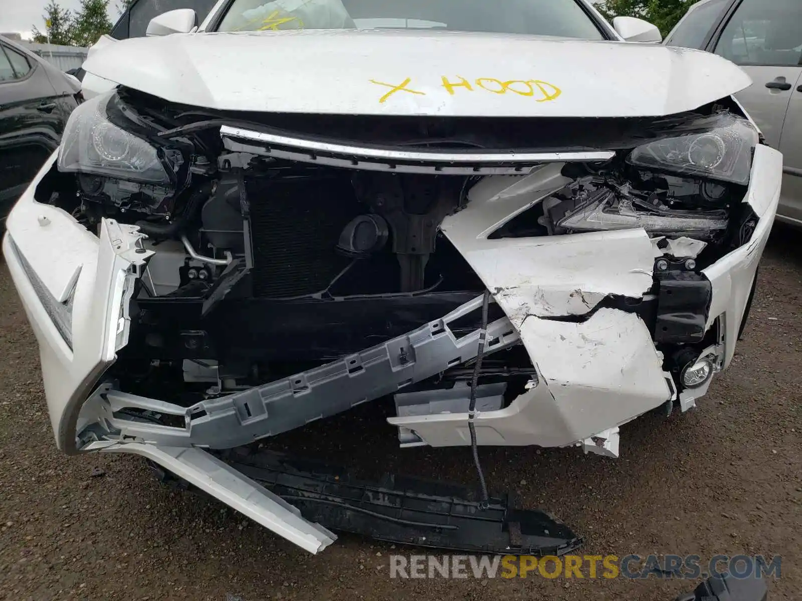 9 Photograph of a damaged car JTJGARDZ9L5016615 LEXUS NX 2020