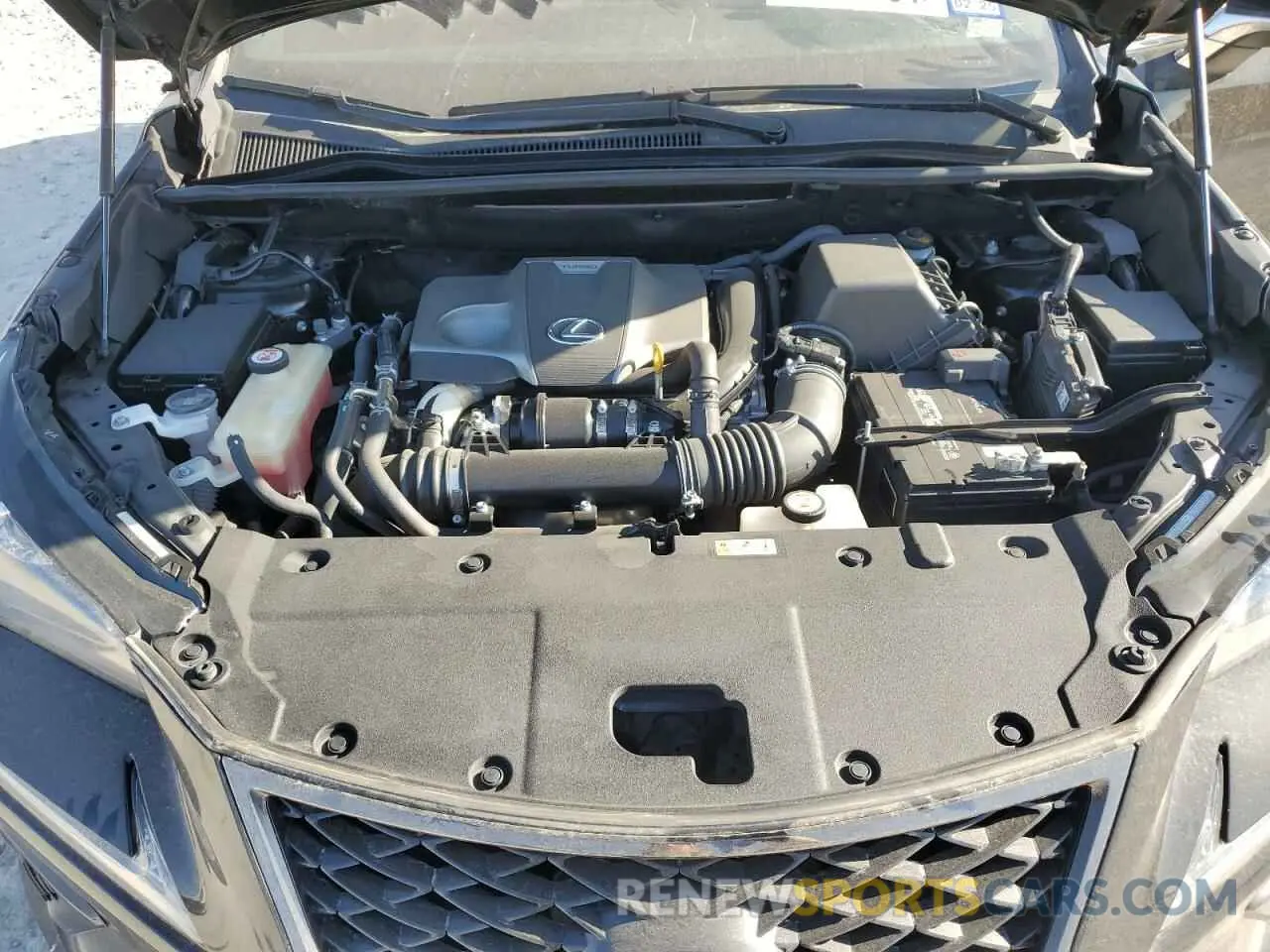 12 Photograph of a damaged car JTJSARBZ7L5006002 LEXUS NX 2020