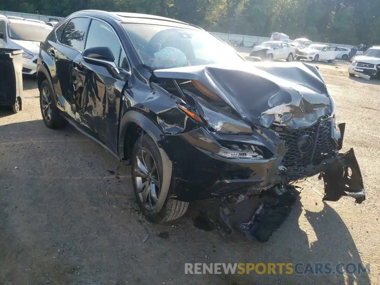 1 Photograph of a damaged car JTJSARBZ8L2162373 LEXUS NX 2020