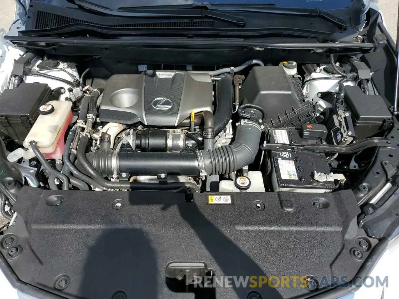 12 Photograph of a damaged car JTJDARBZ2M5028774 LEXUS NX 2021