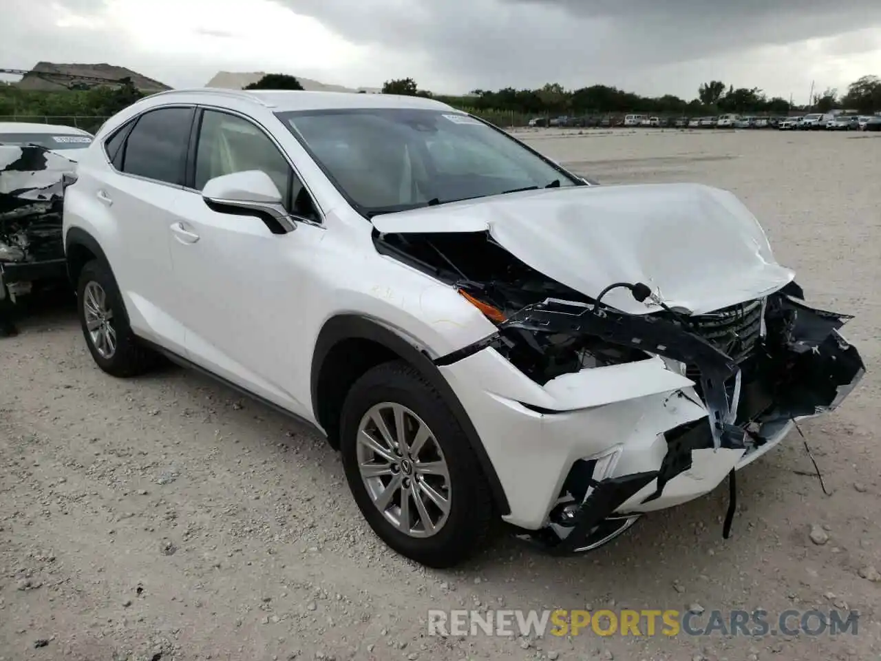 1 Photograph of a damaged car JTJDARBZ3M5029271 LEXUS NX 2021