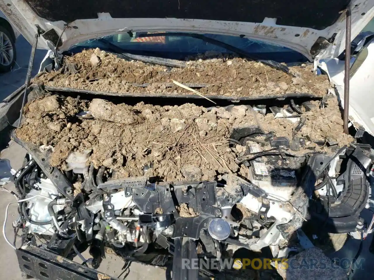 12 Photograph of a damaged car JTJDARBZ3M5032896 LEXUS NX 2021