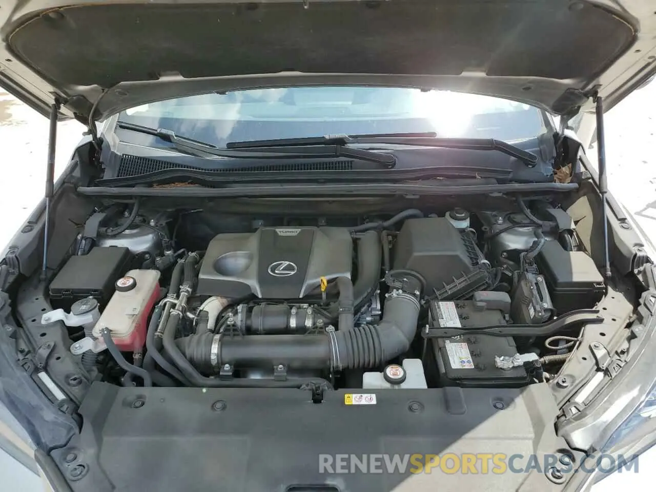 13 Photograph of a damaged car JTJDARBZ4M2190603 LEXUS NX 2021