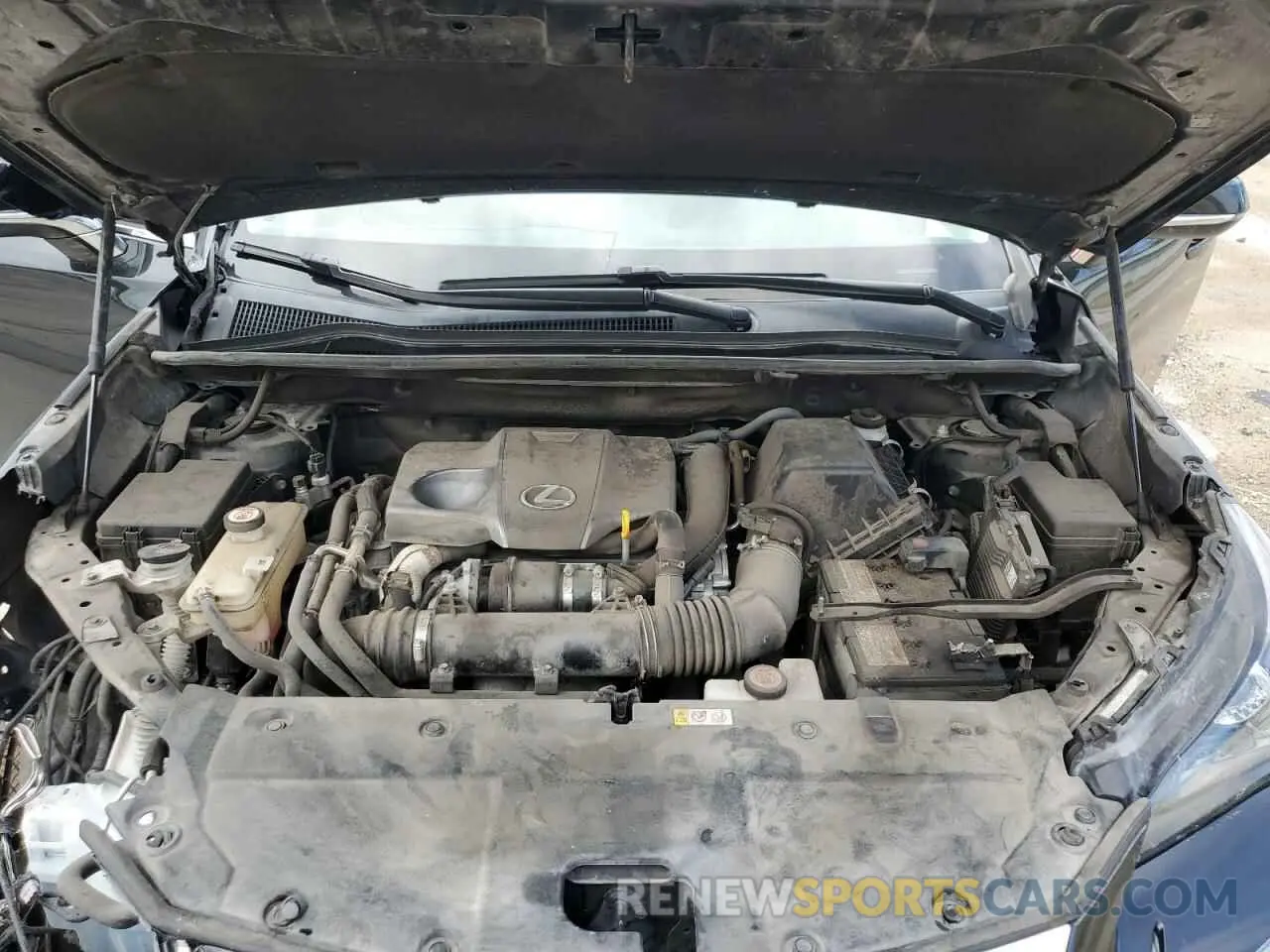 12 Photograph of a damaged car JTJDARBZ5M2179951 LEXUS NX 2021