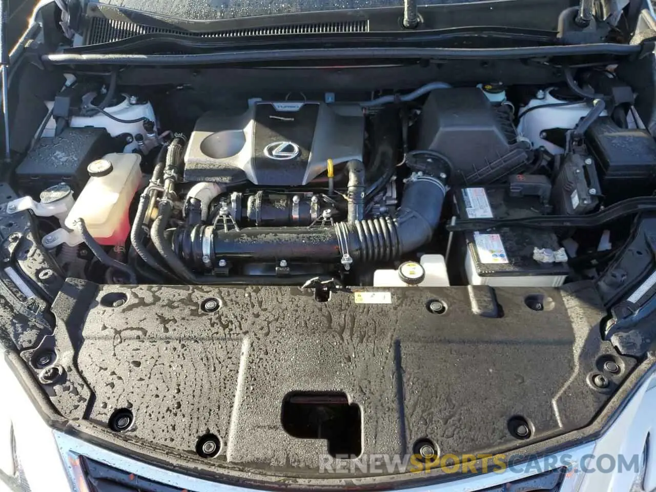 12 Photograph of a damaged car JTJDARBZ5M5034892 LEXUS NX 2021