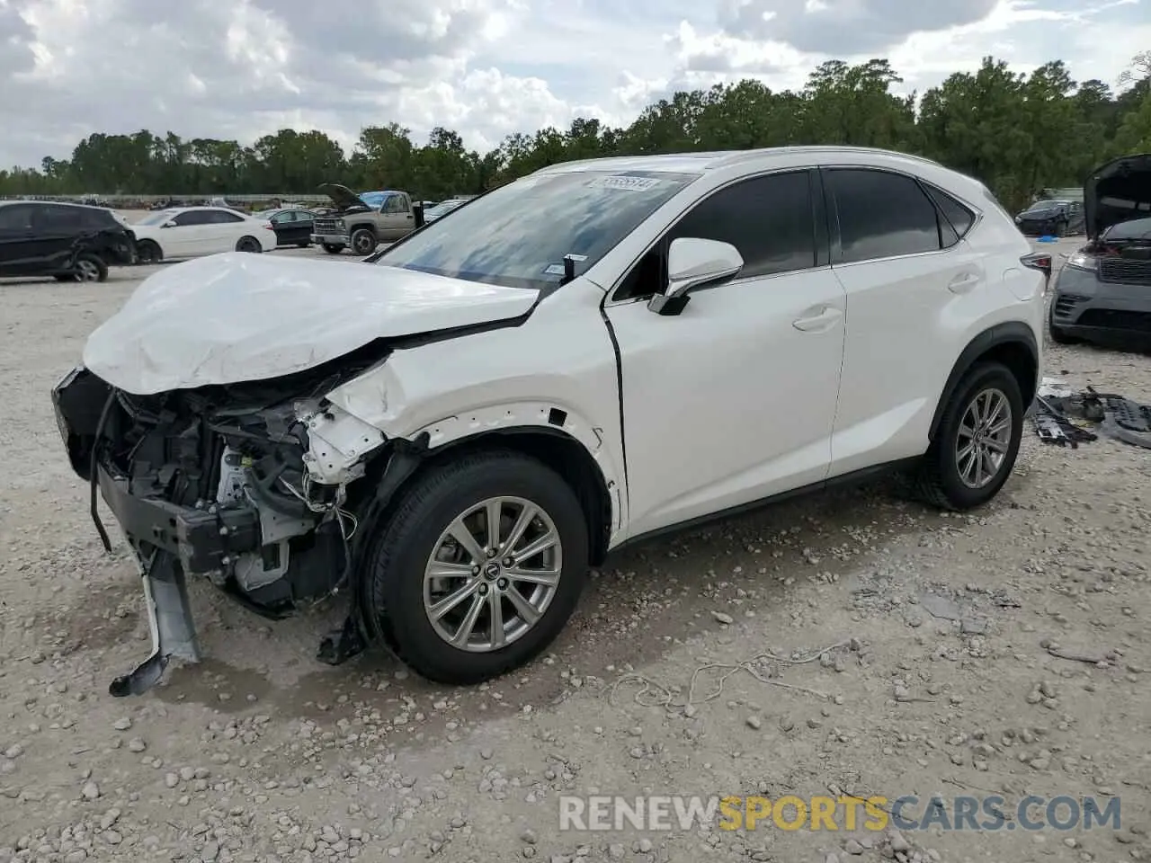 1 Photograph of a damaged car JTJDARBZ6M5033105 LEXUS NX 2021
