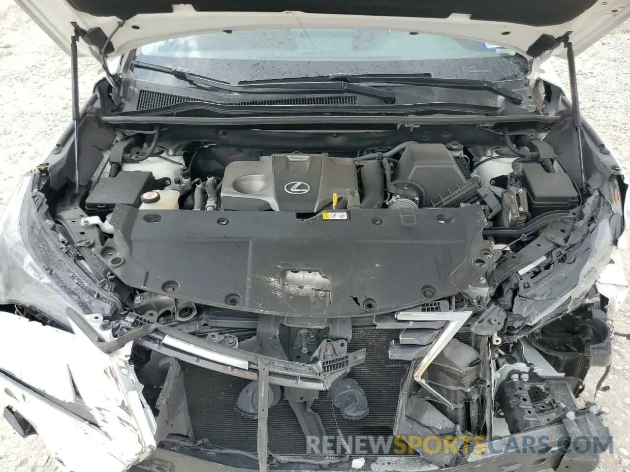 12 Photograph of a damaged car JTJDARBZ6M5033105 LEXUS NX 2021