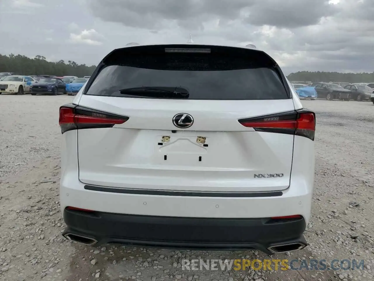 6 Photograph of a damaged car JTJDARBZ6M5033105 LEXUS NX 2021