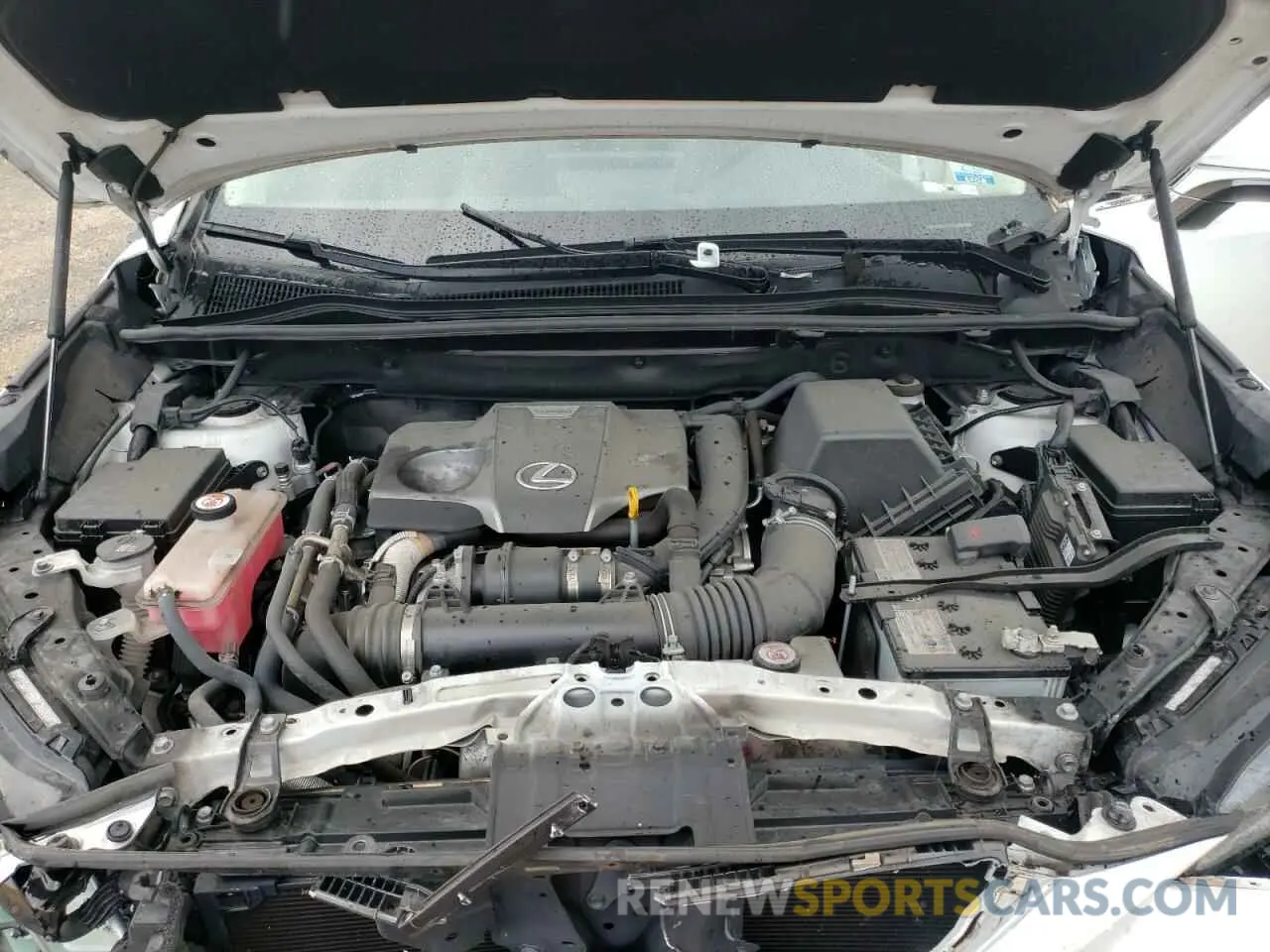 12 Photograph of a damaged car JTJDARBZ7M5022016 LEXUS NX 2021