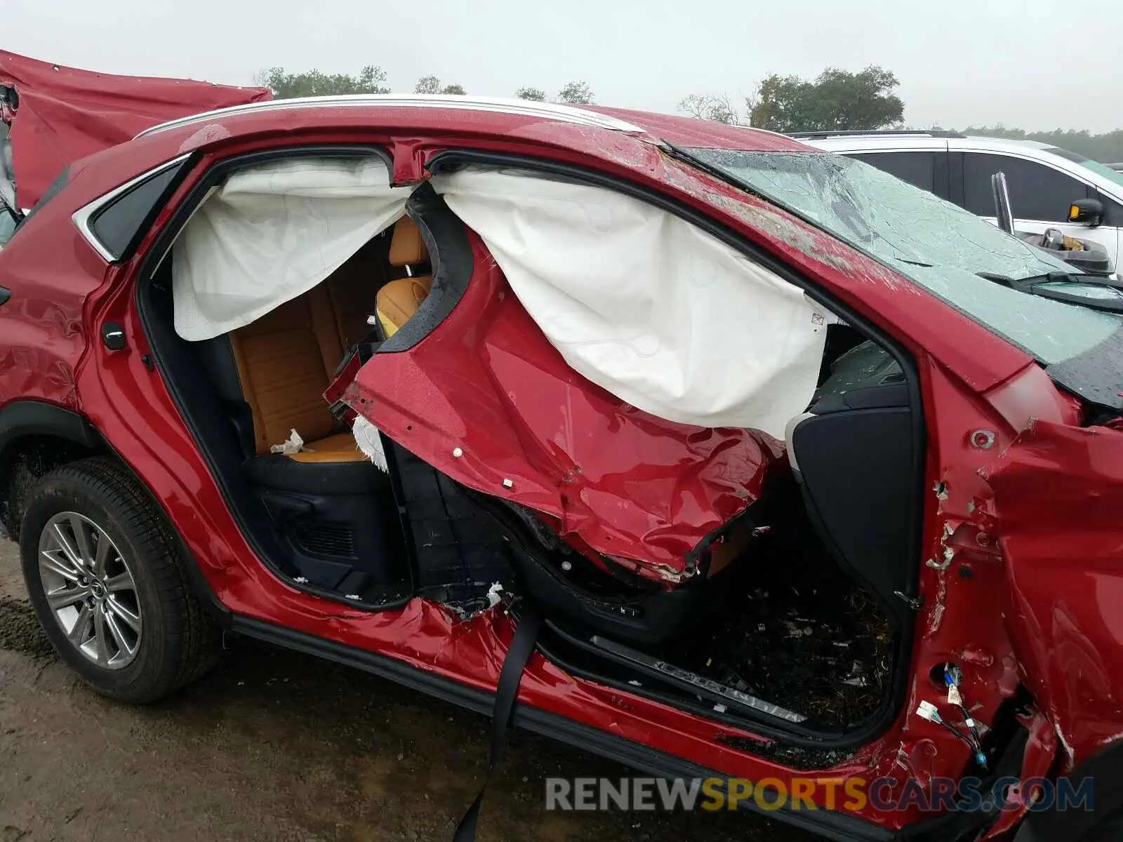 9 Photograph of a damaged car JTJDARBZ8M5021828 LEXUS NX 2021