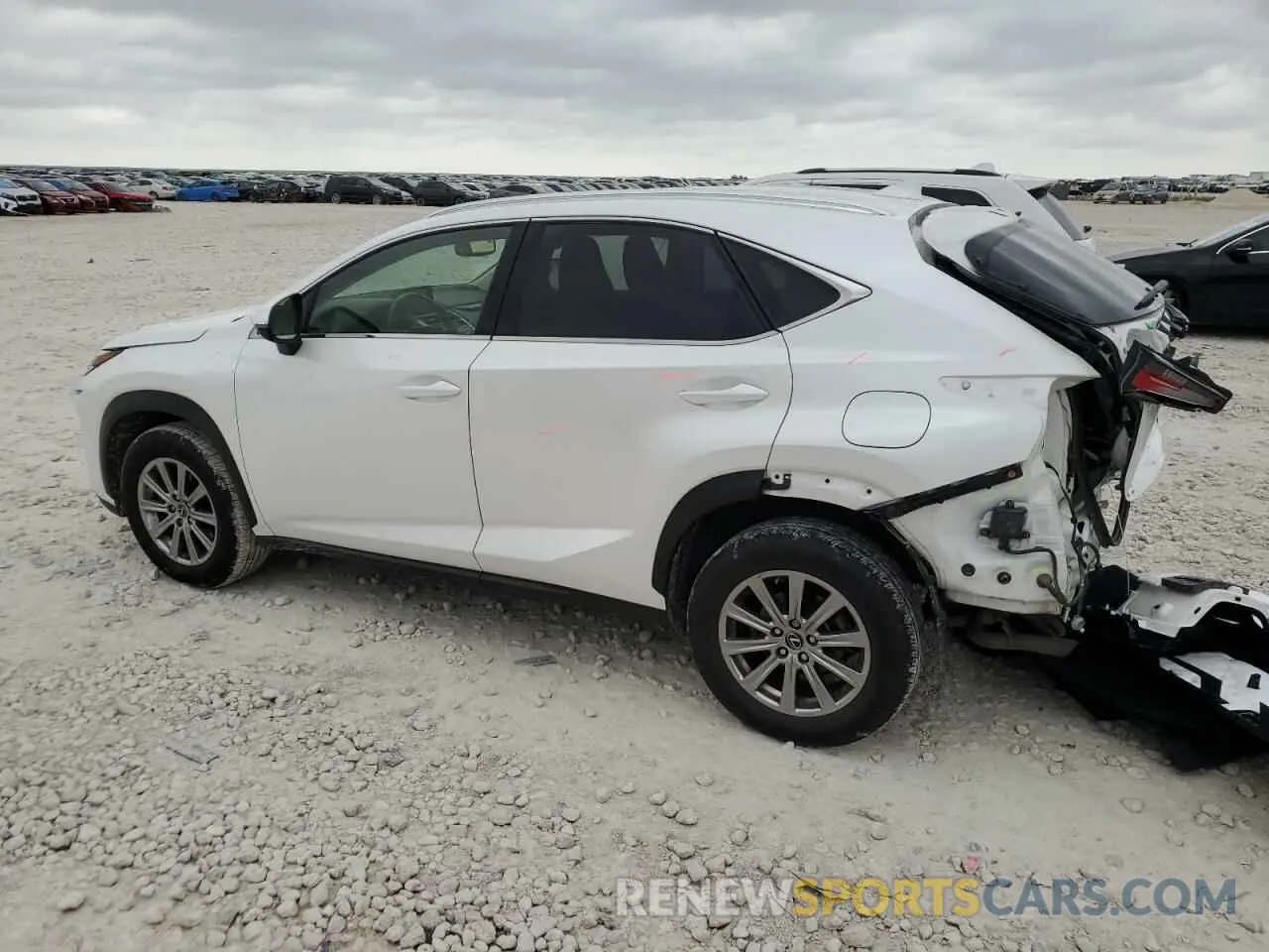 2 Photograph of a damaged car JTJDARBZ9M5033597 LEXUS NX 2021
