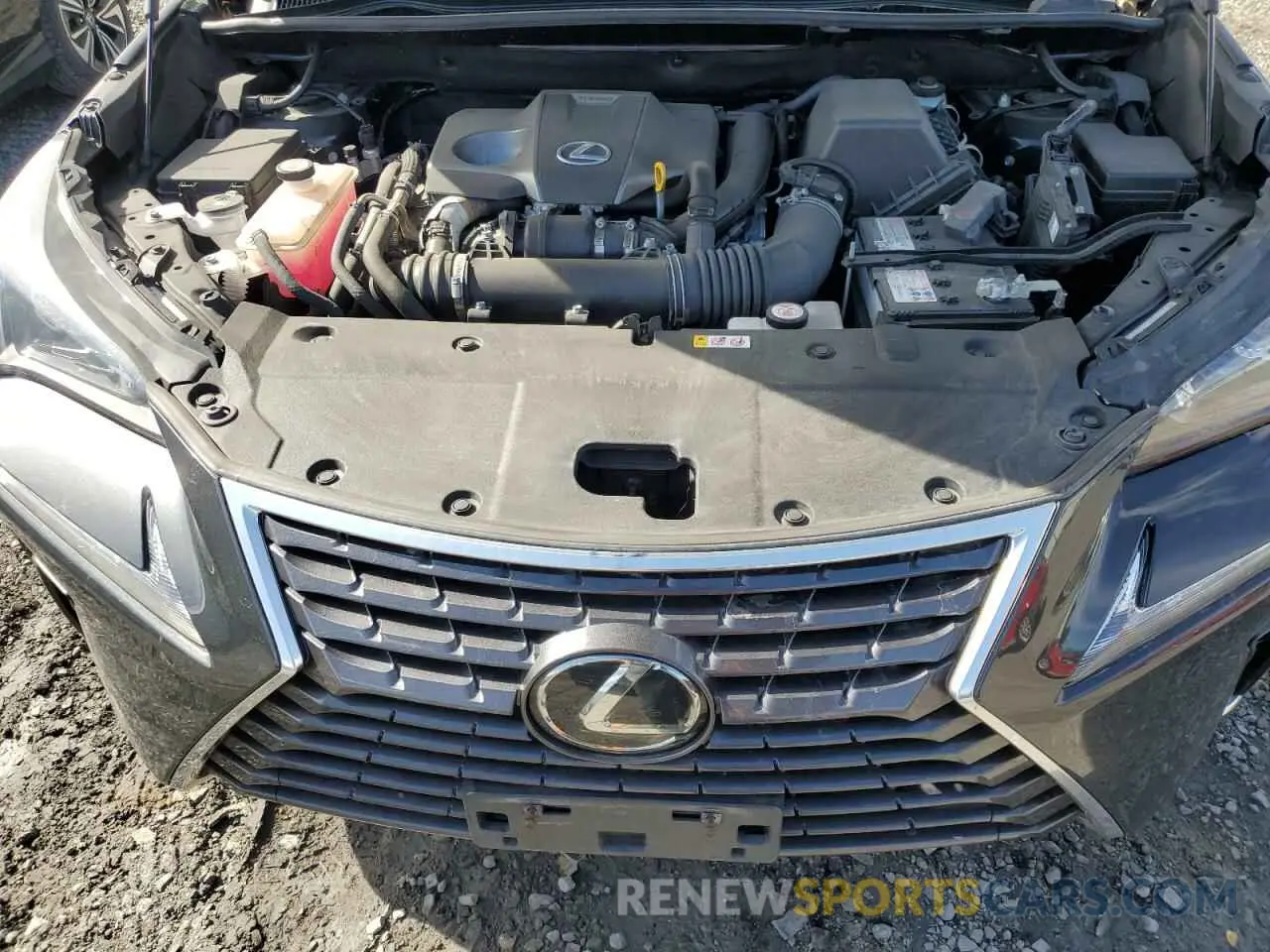 12 Photograph of a damaged car JTJDARDZ2M2237334 LEXUS NX 2021