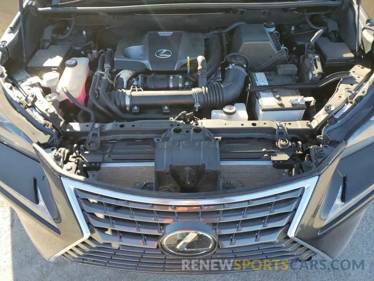 12 Photograph of a damaged car JTJDARDZ3M5030059 LEXUS NX 2021