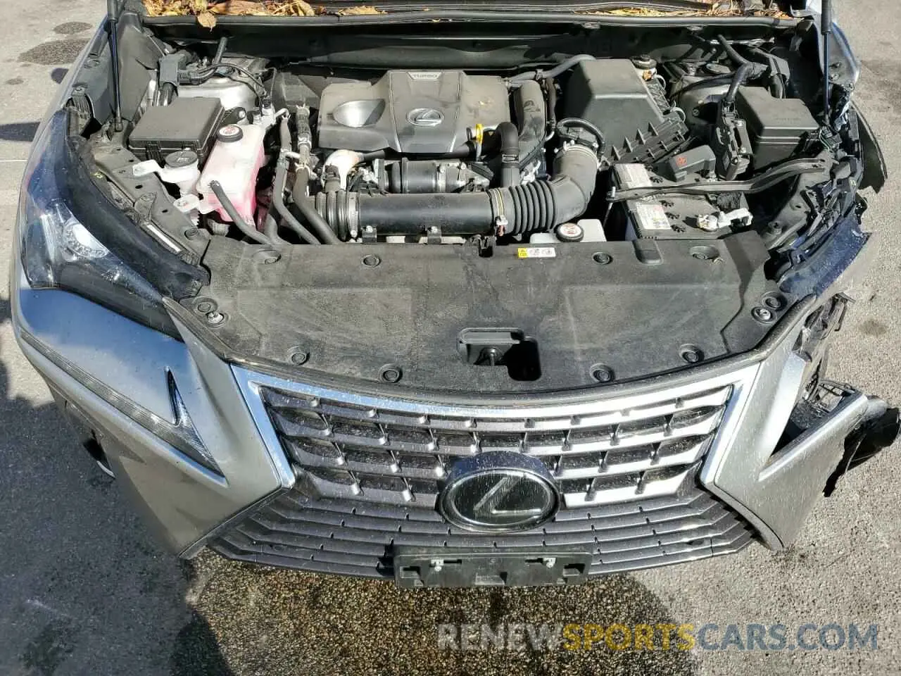 12 Photograph of a damaged car JTJDARDZ3M5032166 LEXUS NX 2021