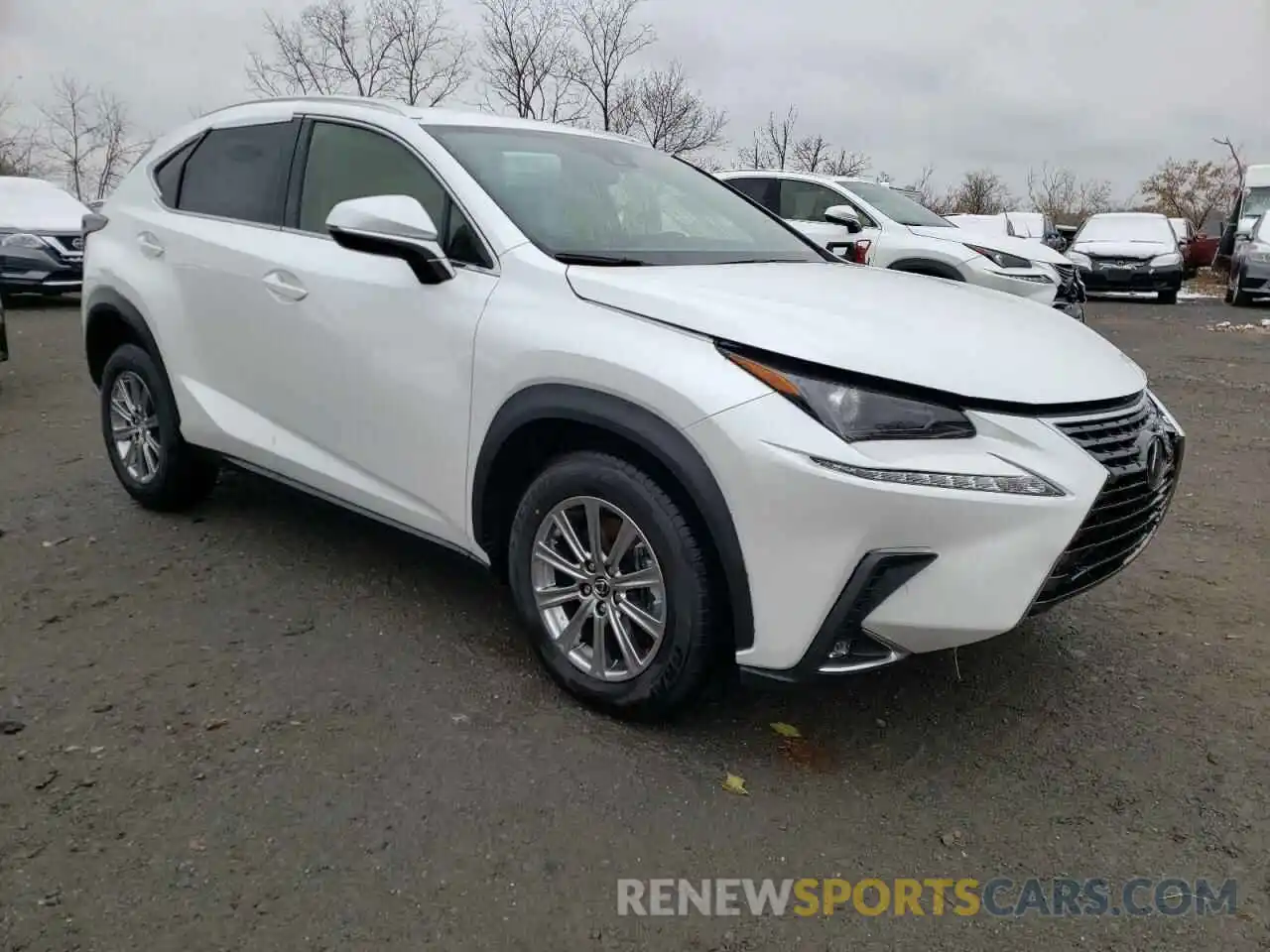 1 Photograph of a damaged car JTJDARDZ4M5029504 LEXUS NX 2021