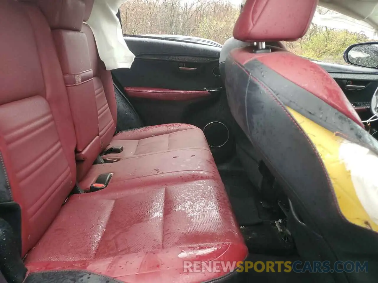 11 Photograph of a damaged car JTJDARDZ5M5031813 LEXUS NX 2021